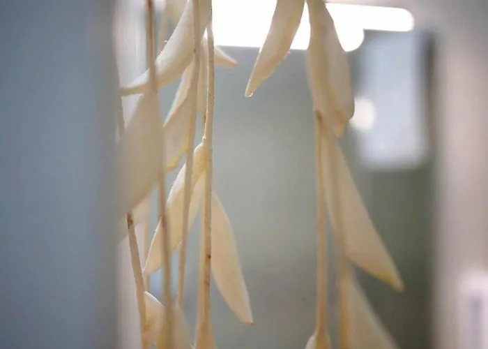 Queen 20 Luxury Duomo B&B 나폴리