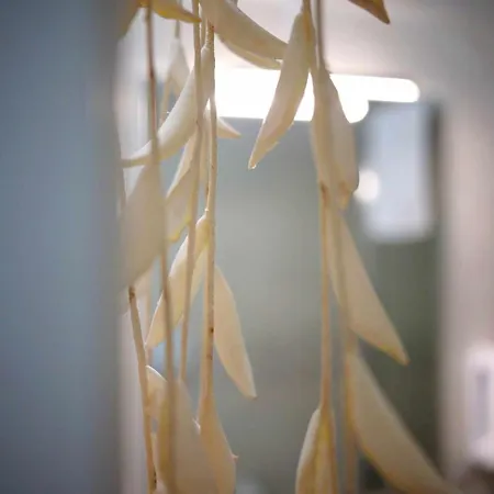 Queen 20 Luxury Duomo לינה וארוחת בוקר נאפולי